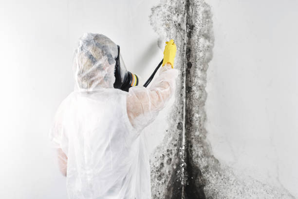 Best Carpet water damage restoration  in Kersey, CO